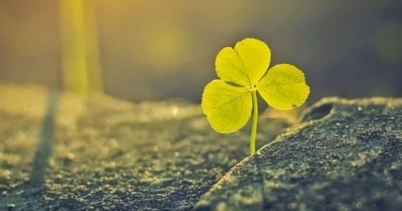 Bible News: Believing Against A Natural Sense Of Hope Bible News: Believing Against A Natural Sense Of Hope