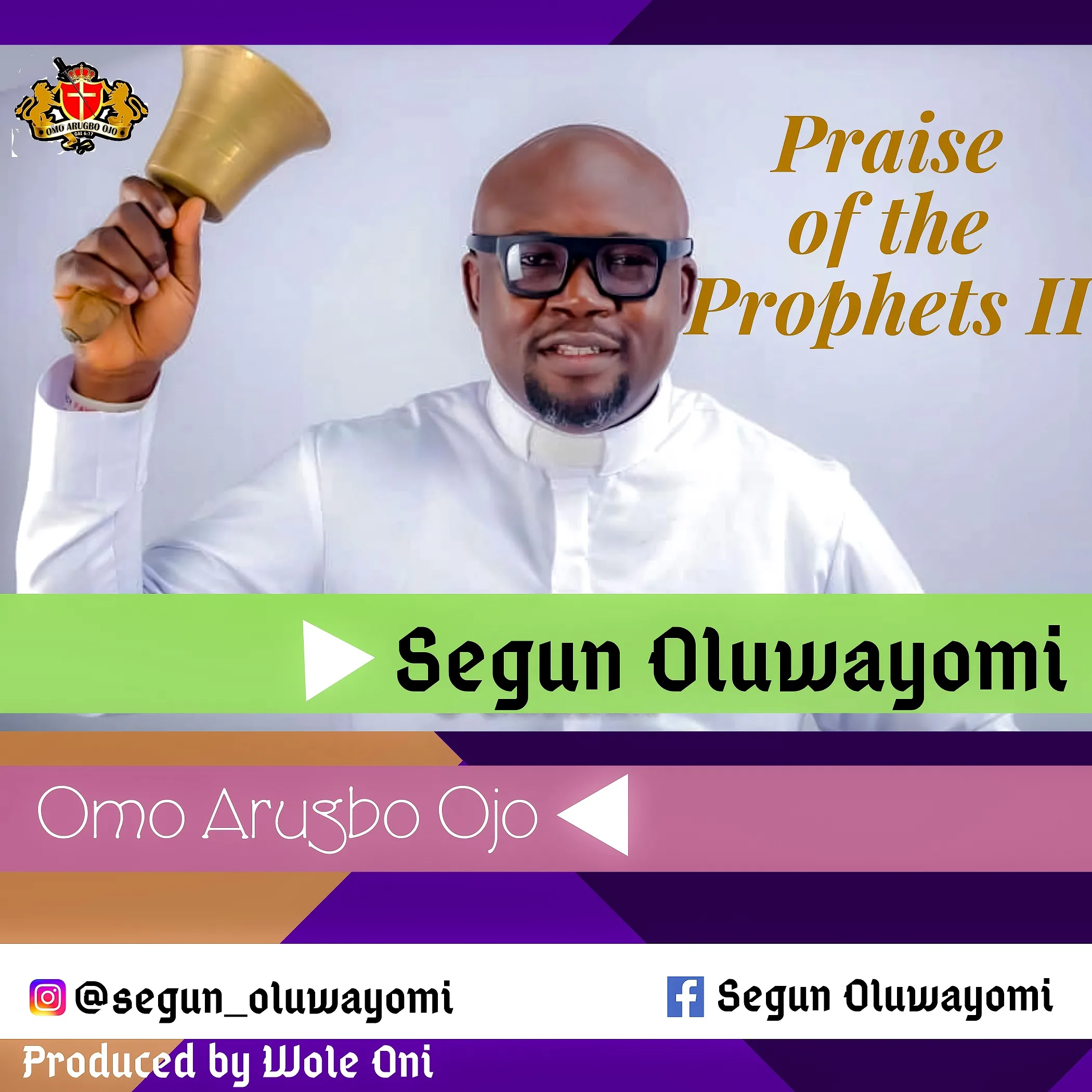 SEGUN OLUWAYOMI ART