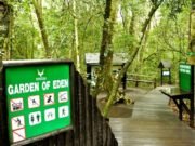 Mesopotamia Or Jerusalem – Where Is The Garden Of Eden Really Located? Garden of Eden