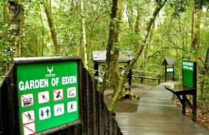 Mesopotamia Or Jerusalem – Where Is The Garden Of Eden Really Located? Garden of Eden