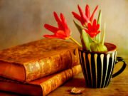 Bible News: Maybe We Are Not Christian Enough | By Alex Amos