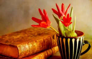 Bible News: Maybe We Are Not Christian Enough | By Alex Amos