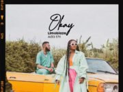 Ada Ehi And Limoblaze Set To Release “Okay” (+ Video) This September Okay By Ada Ehi And Limoblaze