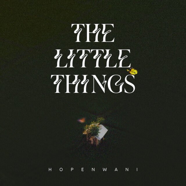 Hope Nwani | The Little Things