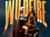 Wildfire By Damilola Oluwatoyinbo