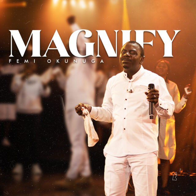Magnify Magnify By Femi Okunuga