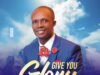 Give You Joy By Theo Flourish