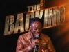 The Backing By Uzo Ezeagwula